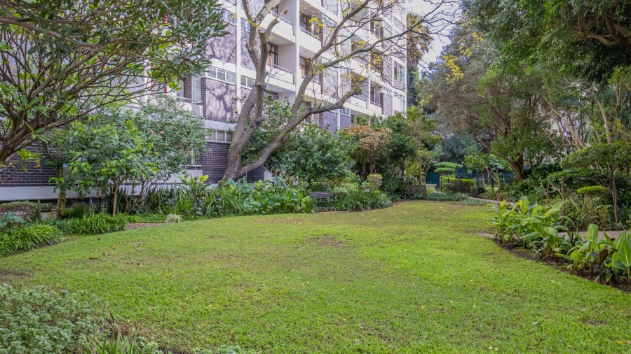 0 Bedroom Property for Sale in Cape Town City Centre Western Cape